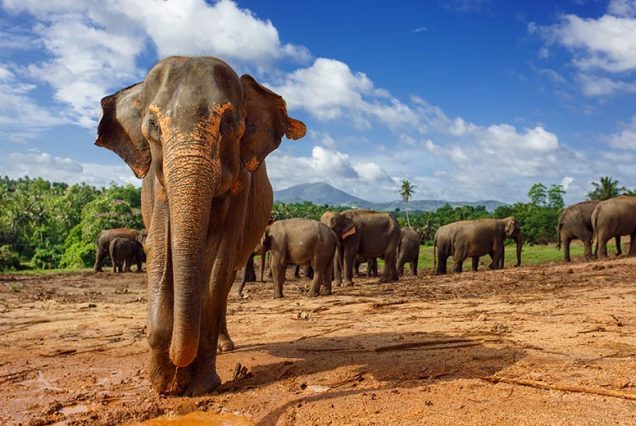 tourist places in srilanka
